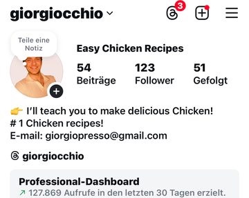 Profil zum Start mit rund 100 Followern